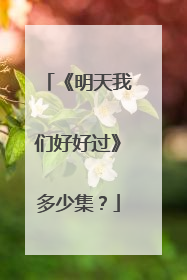 《明天我们好好过》多少集?