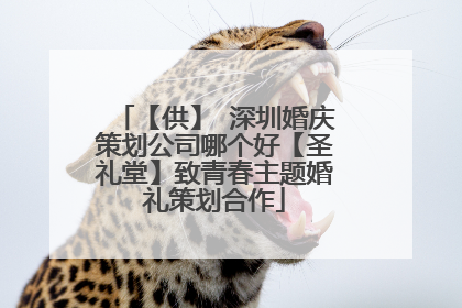 【供】 深圳婚庆策划公司哪个好【圣礼堂】致青春主题婚礼策划合作