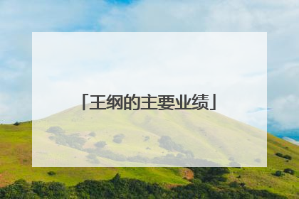 王纲的主要业绩