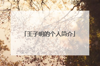 王子明的个人简介