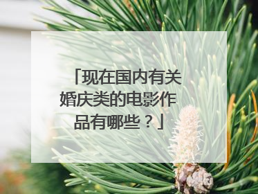 现在国内有关婚庆类的电影作品有哪些？