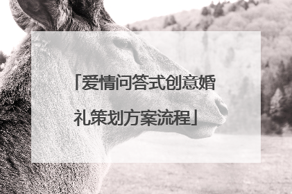 爱情问答式创意婚礼策划方案流程
