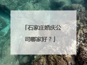 石家庄婚庆公司哪家好?