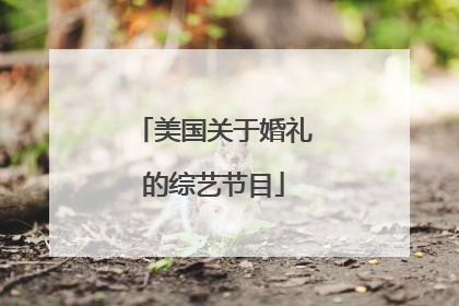 美国关于婚礼的综艺节目