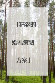 精彩的婚礼策划方案