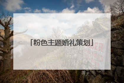 粉色主题婚礼策划