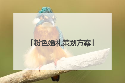 粉色婚礼策划方案