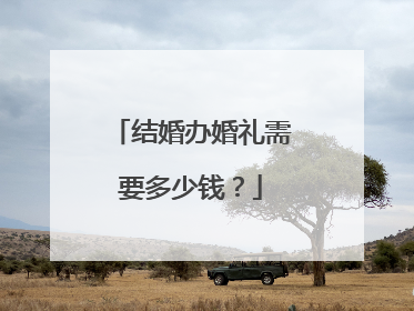 结婚办婚礼需要多少钱?