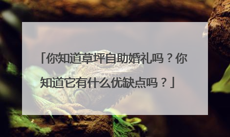 你知道草坪自助婚礼吗?你知道它有什么优缺点吗?