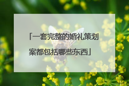 一套完整的婚礼策划案都包括哪些东西