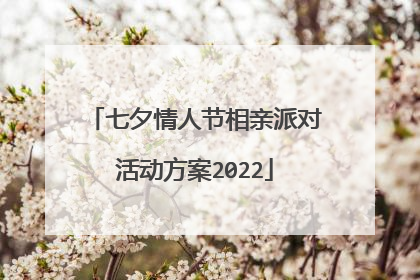 七夕情人节相亲派对活动方案2022