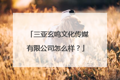 三亚玄鸣文化传媒有限公司怎么样？