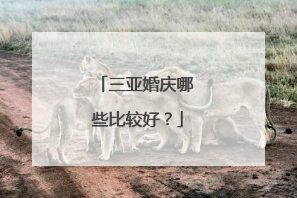 三亚婚庆哪些比较好？