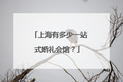 上海有多少一站式婚礼会馆?