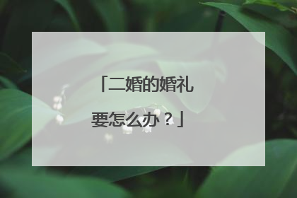 二婚的婚礼要怎么办？