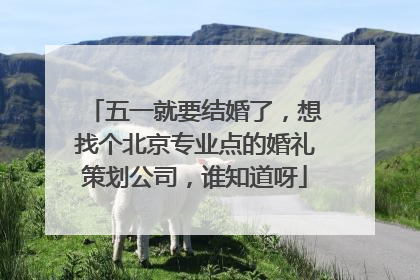 五一就要结婚了，想找个北京专业点的婚礼策划公司，谁知道呀