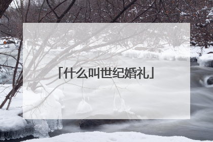 什么叫世纪婚礼