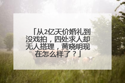 从2亿天价婚礼到没戏拍,四处求人却无人搭理,黄晓明现在怎么样了?