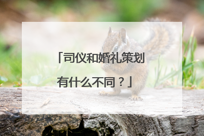 司仪和婚礼策划有什么不同？