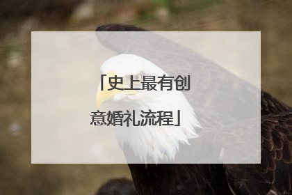 史上最有创意婚礼流程