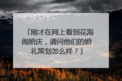 刚才在网上看到花海阁婚庆,请问他们的婚礼策划怎么样?