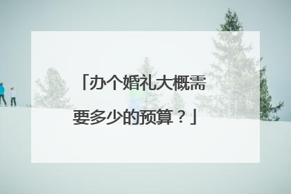 办个婚礼大概需要多少的预算？