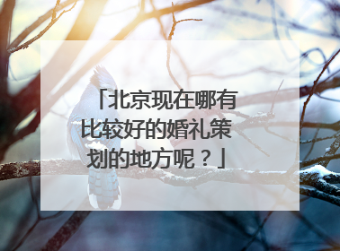 北京现在哪有比较好的婚礼策划的地方呢?