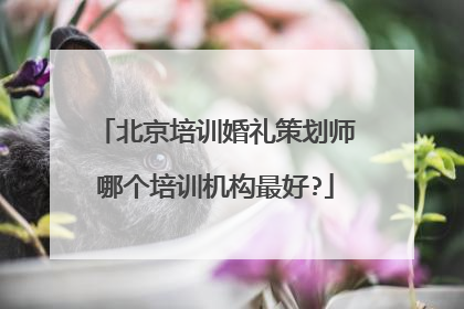 北京培训婚礼策划师哪个培训机构最好?