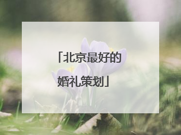 北京最好的婚礼策划