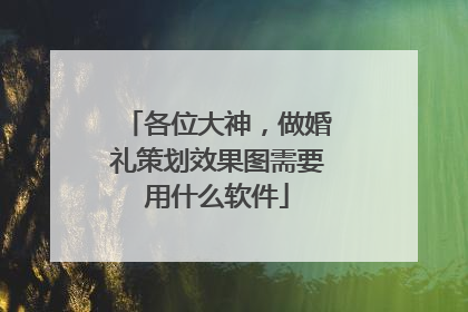 各位大神,做婚礼策划效果图需要用什么软件