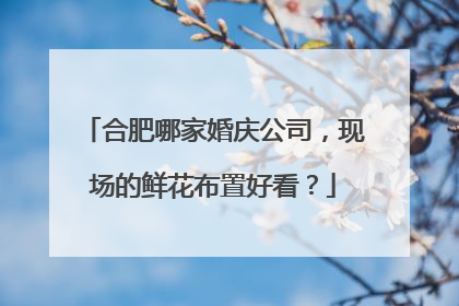 合肥哪家婚庆公司,现场的鲜花布置好看?