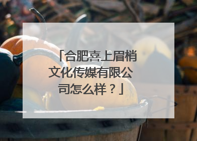 合肥喜上眉梢文化传媒有限公司怎么样？