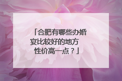 合肥有哪些办婚宴比较好的地方 性价高一点?