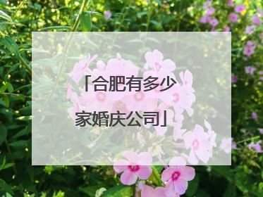 合肥有多少家婚庆公司