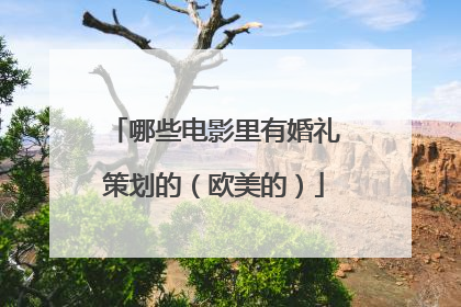 哪些电影里有婚礼策划的（欧美的）