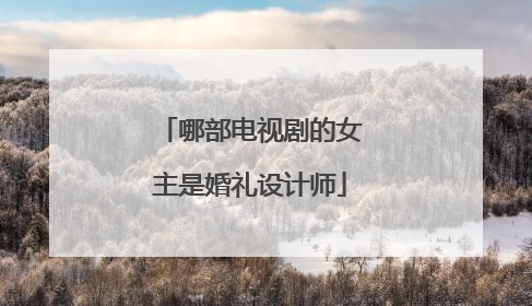 哪部电视剧的女主是婚礼设计师