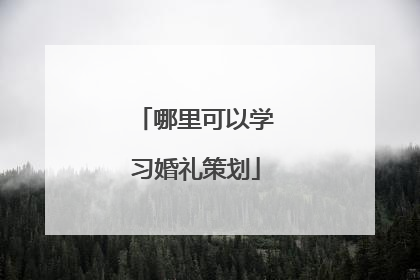 哪里可以学习婚礼策划