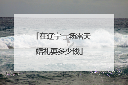 在辽宁一场露天婚礼要多少钱