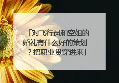 对飞行员和空姐的婚礼有什么好的策划?把职业贯穿进来