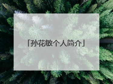 孙花敏个人简介