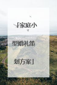 家庭小型婚礼策划方案