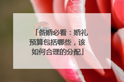 备婚必看：婚礼预算包括哪些，该如何合理的分配