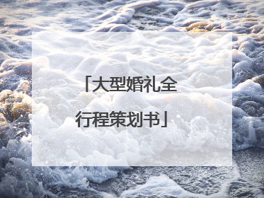 大型婚礼全行程策划书