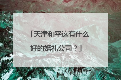 天津和平这有什么好的婚礼公司?
