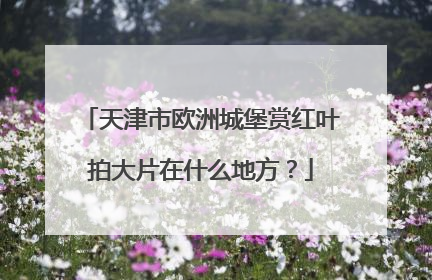 天津市欧洲城堡赏红叶拍大片在什么地方？