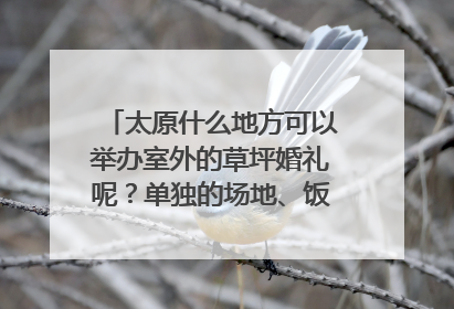 太原什么地方可以举办室外的草坪婚礼呢？单独的场地、饭店、酒店都可以，有大片够用的草坪且允许举办就行
