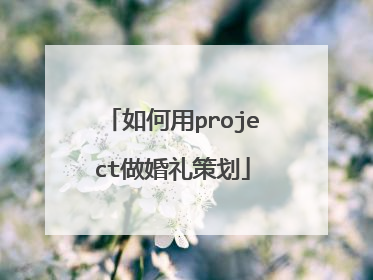 如何用project做婚礼策划