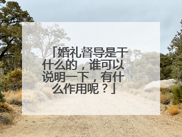 婚礼督导是干什么的，谁可以说明一下，有什么作用呢？