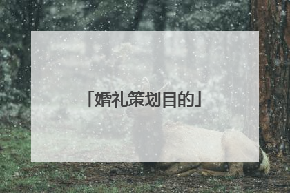 婚礼策划目的