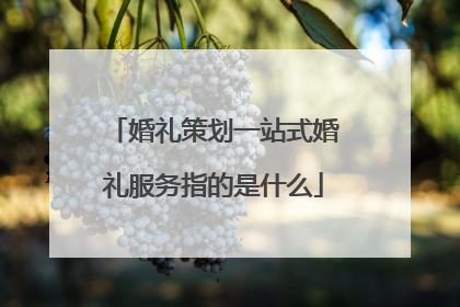 婚礼策划一站式婚礼服务指的是什么